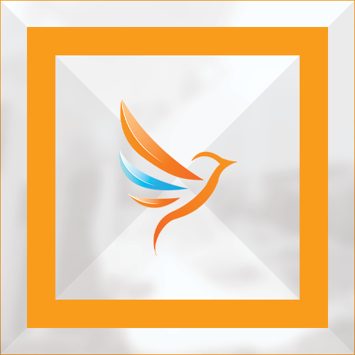 Projet Communication Print/Digitale