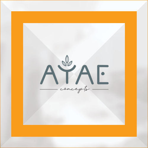 Projet Communication Print/Digitale